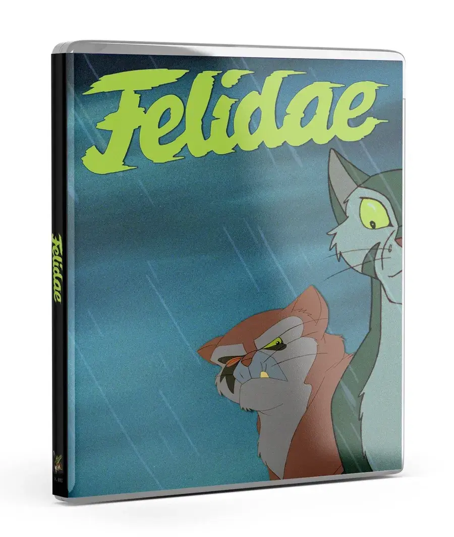 Felidae