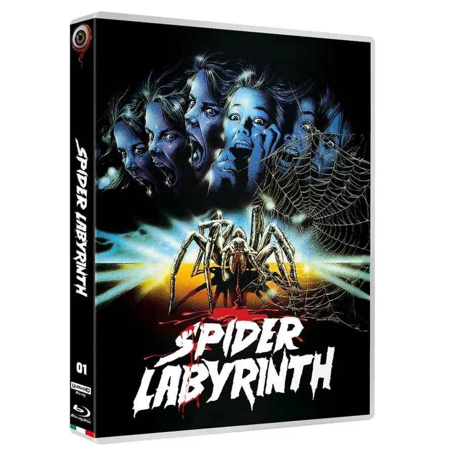 Spider Labyrinth